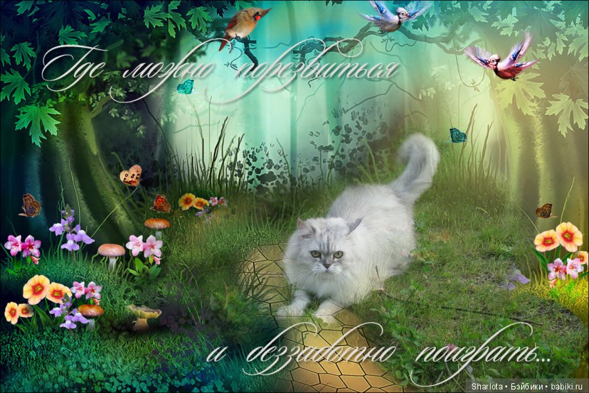 ОНИ уходят за радугу… И плачут Ангелы… Моей любимой девочке Шарлоте посвящаю | Бэйбики ОНИ уходят за радугу… И плачут Ангелы… Моей любимой девочке Шарлоте посвящаю