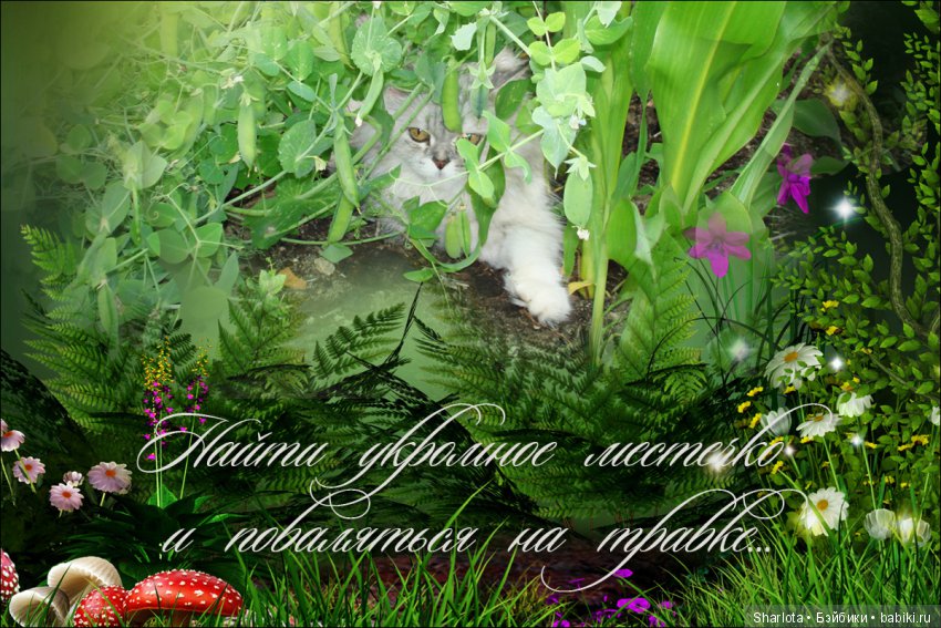 ОНИ уходят за радугу… И плачут Ангелы… Моей любимой девочке Шарлоте посвящаю | Бэйбики ОНИ уходят за радугу… И плачут Ангелы… Моей любимой девочке Шарлоте посвящаю