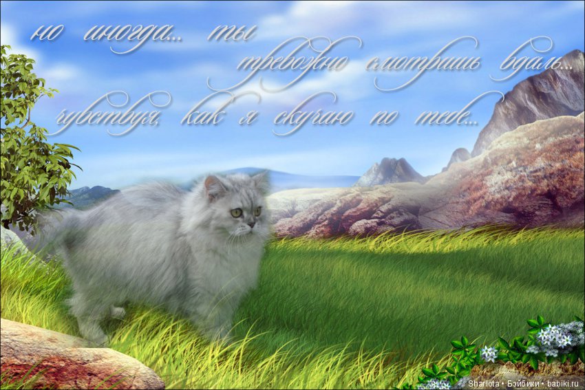 ОНИ уходят за радугу… И плачут Ангелы… Моей любимой девочке Шарлоте посвящаю | Бэйбики ОНИ уходят за радугу… И плачут Ангелы… Моей любимой девочке Шарлоте посвящаю