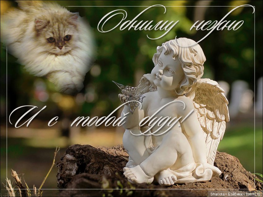 ОНИ уходят за радугу… И плачут Ангелы… Моей любимой девочке Шарлоте посвящаю | Бэйбики ОНИ уходят за радугу… И плачут Ангелы… Моей любимой девочке Шарлоте посвящаю (фото 10)