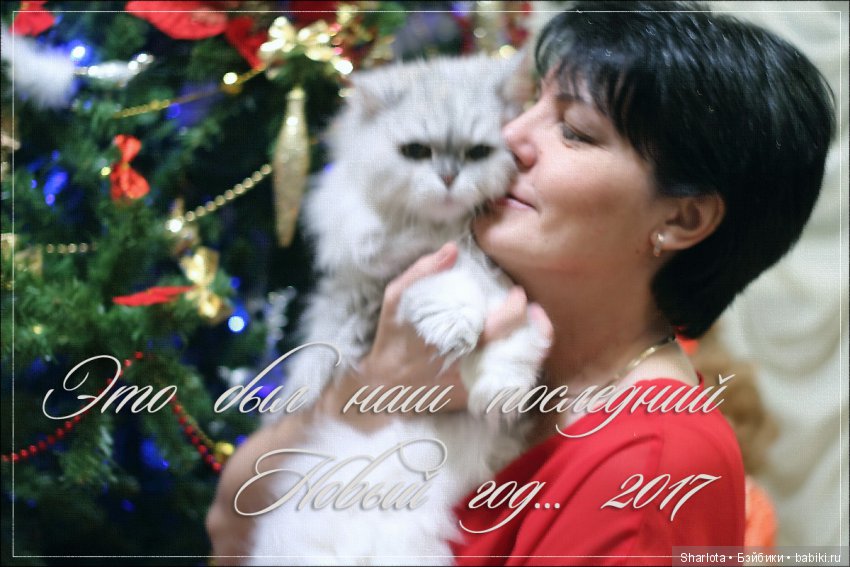 ОНИ уходят за радугу… И плачут Ангелы… Моей любимой девочке Шарлоте посвящаю | Бэйбики ОНИ уходят за радугу… И плачут Ангелы… Моей любимой девочке Шарлоте посвящаю