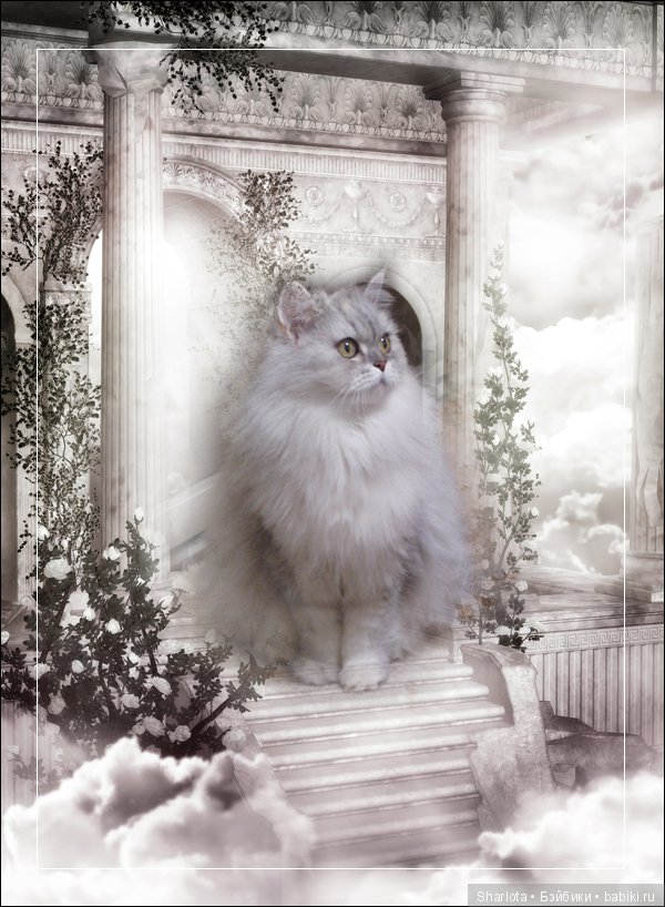 ОНИ уходят за радугу… И плачут Ангелы… Моей любимой девочке Шарлоте посвящаю | Бэйбики ОНИ уходят за радугу… И плачут Ангелы… Моей любимой девочке Шарлоте посвящаю