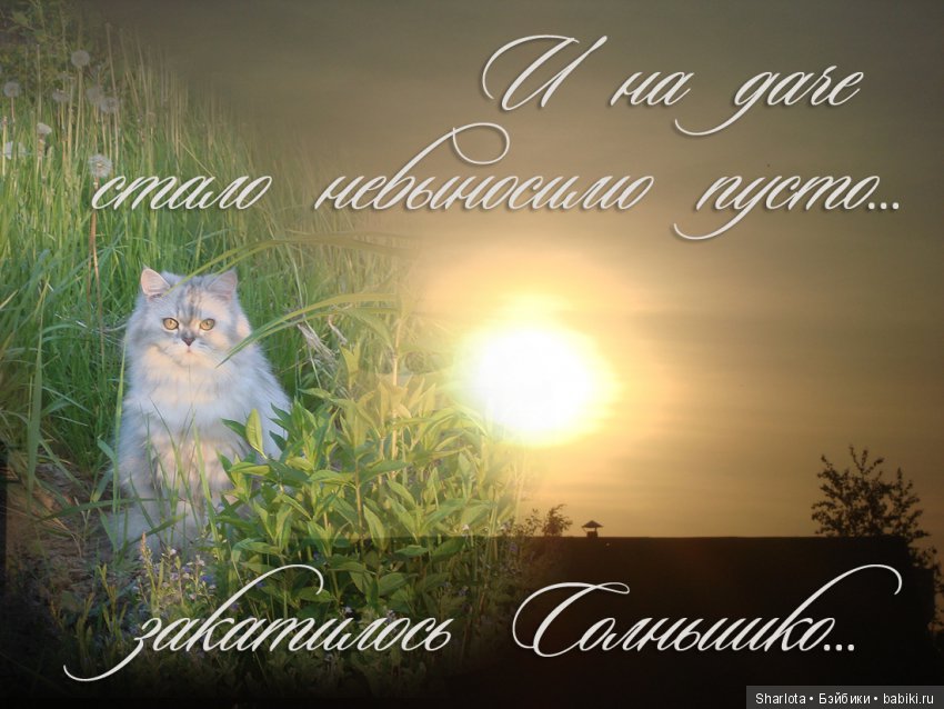 ОНИ уходят за радугу… И плачут Ангелы… Моей любимой девочке Шарлоте посвящаю | Бэйбики ОНИ уходят за радугу… И плачут Ангелы… Моей любимой девочке Шарлоте посвящаю