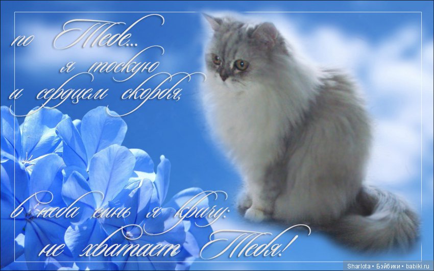 ОНИ уходят за радугу… И плачут Ангелы… Моей любимой девочке Шарлоте посвящаю | Бэйбики ОНИ уходят за радугу… И плачут Ангелы… Моей любимой девочке Шарлоте посвящаю