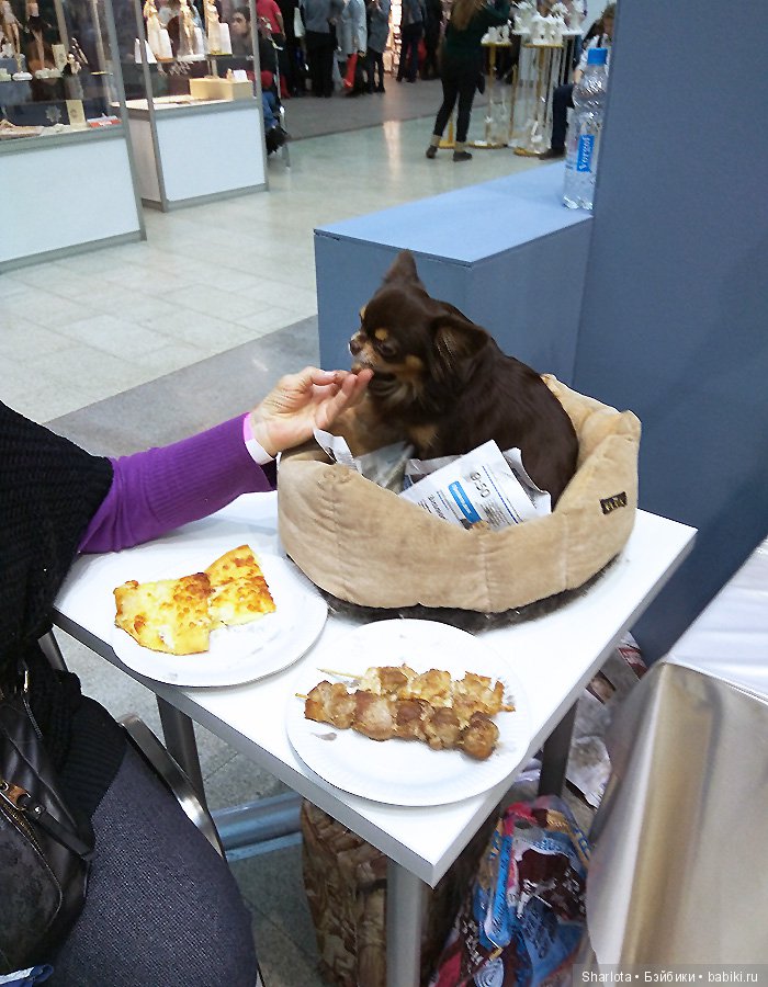 Моя Первая Выставка или объять необъятное! Что особенно впечатлило, запомнилось и осталось в Душе… Искусство куклы 2018 | Бэйбики Моя Первая Выставка или объять необъятное! Что особенно впечатлило, запомнилось и осталось в Душе… Искусство куклы 2018