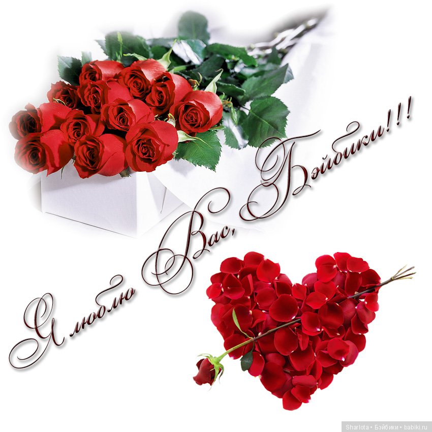 5 лет на Бэйбиках или…Ты помнишь, как все начиналось