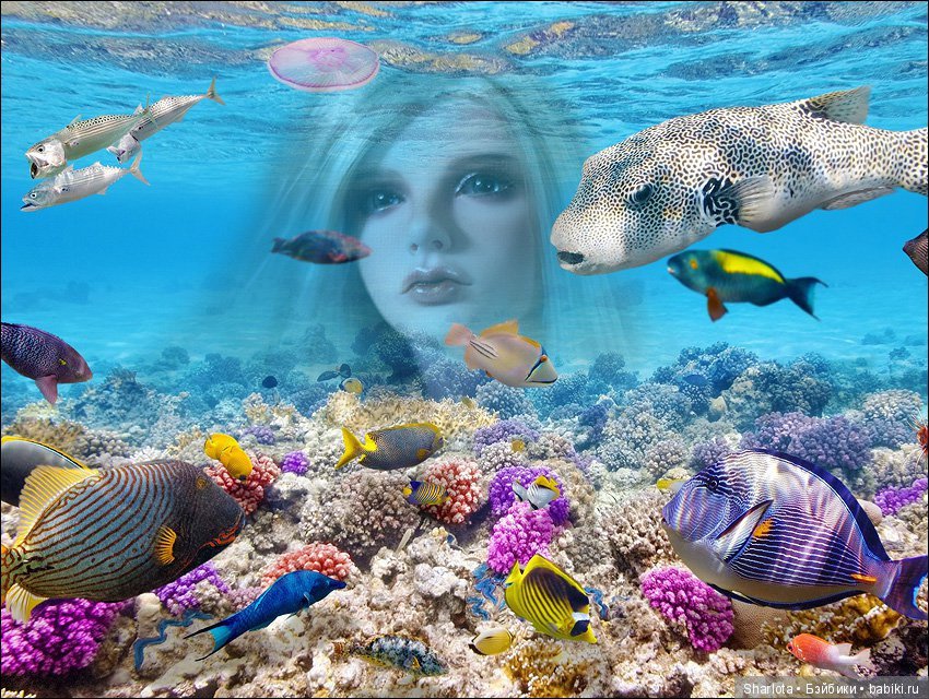 Мисс Бэйбики 2019. Презентация Мериен. О чем сердечко беспокоится