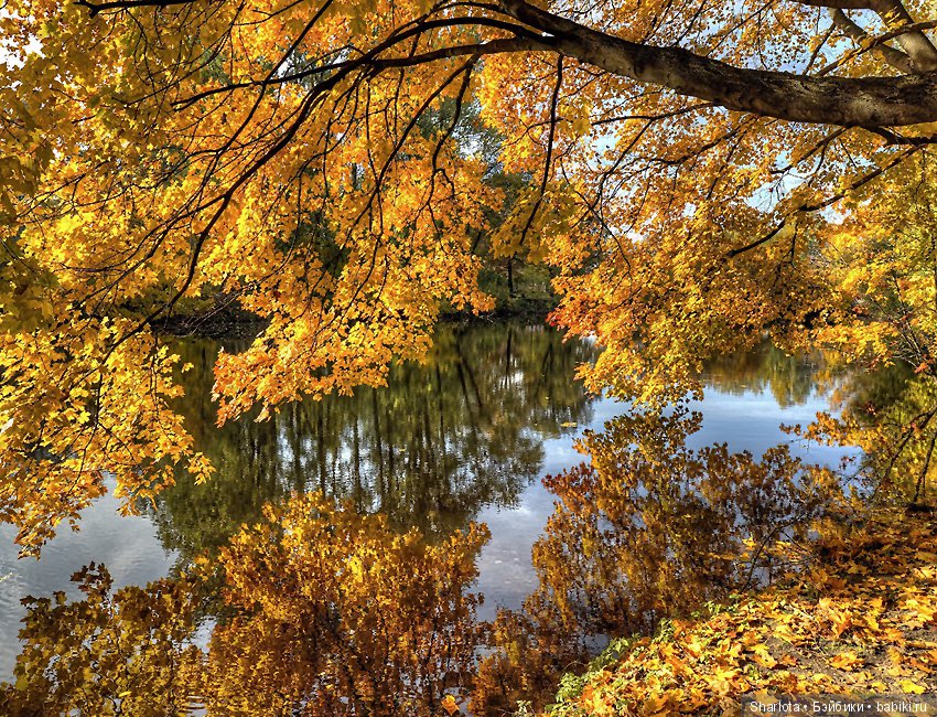 И Осени... прекрасные аккорды (фото 10)