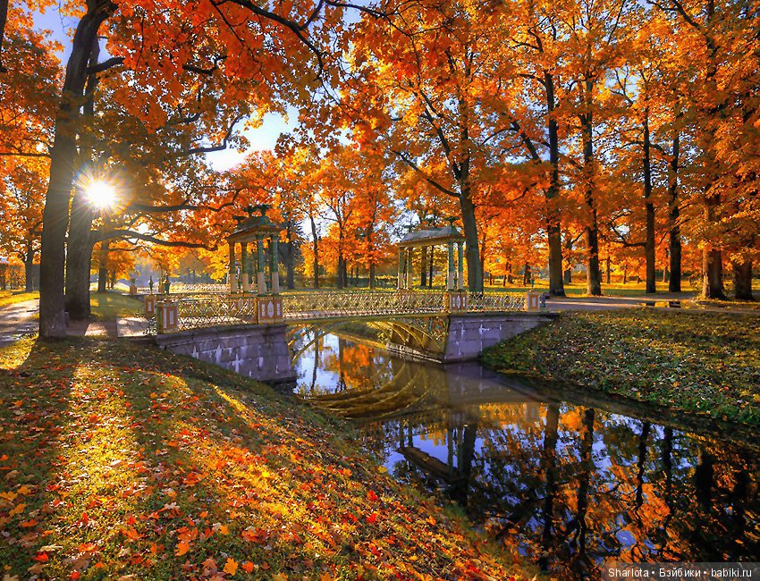 И Осени... прекрасные аккорды