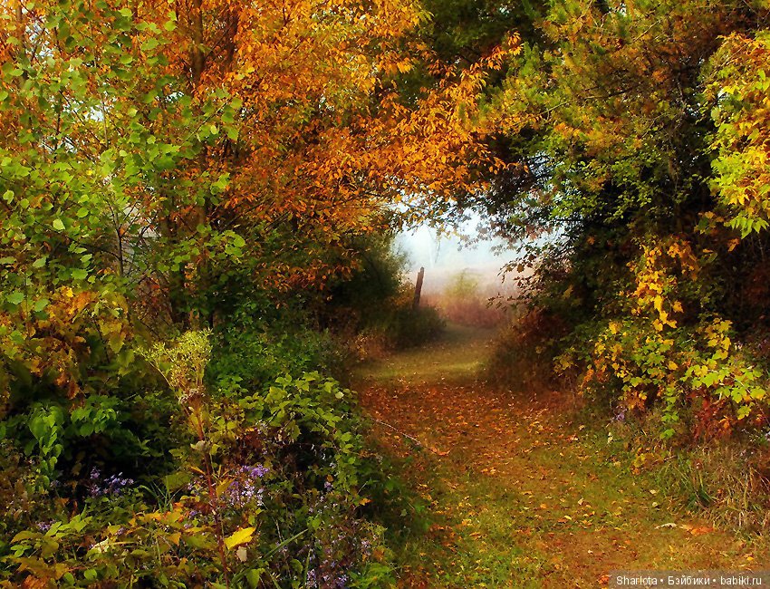 И Осени... прекрасные аккорды