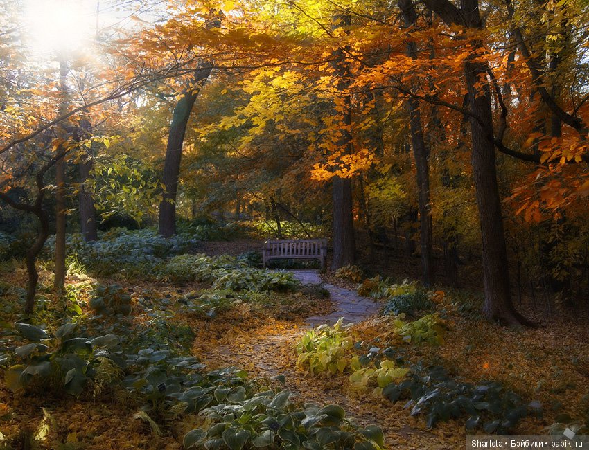 И Осени... прекрасные аккорды (фото 7)