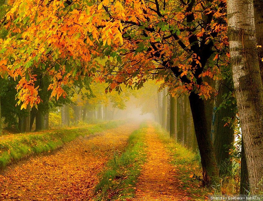 И Осени... прекрасные аккорды