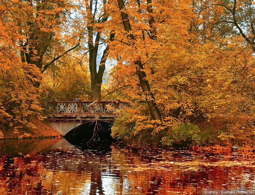 И Осени... прекрасные аккорды