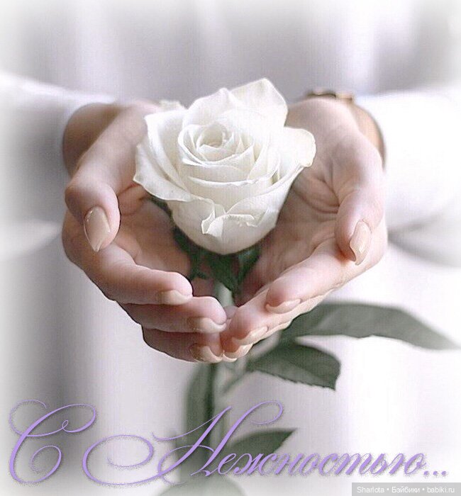 Моя весенняя Нежность...Часть первая "Нежная" | Бэйбики Моя весенняя Нежность...Часть первая "Нежная"