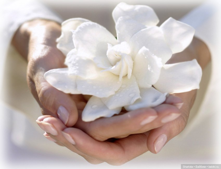 Моя весенняя Нежность...Часть первая "Нежная" | Бэйбики Моя весенняя Нежность...Часть первая "Нежная"