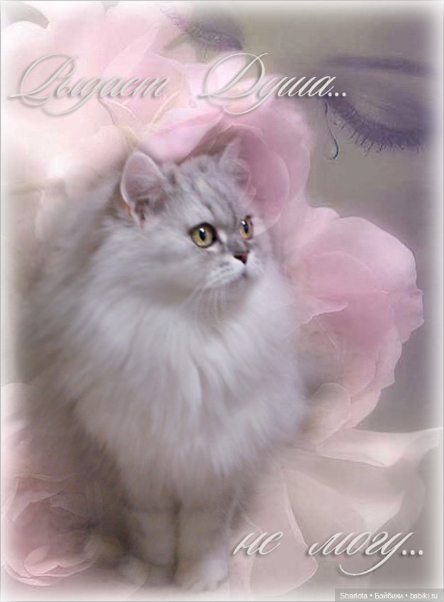 Моя весенняя Нежность...Часть первая "Нежная" | Бэйбики Моя весенняя Нежность...Часть первая "Нежная" (фото 3)