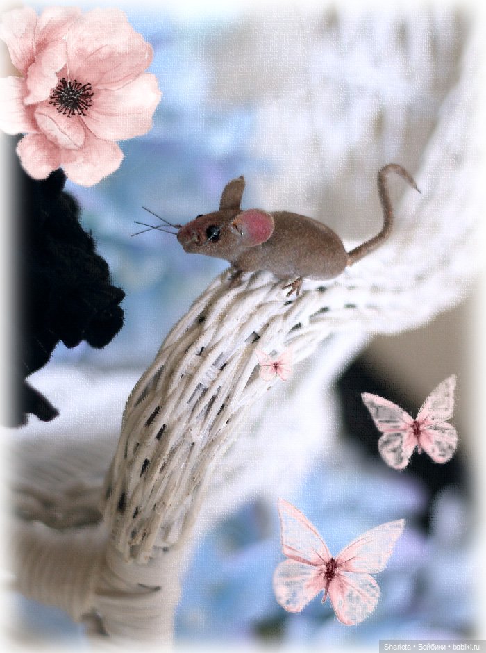 Моё семейство Кошачьих… или Ларисска... с крыской (фото 2)