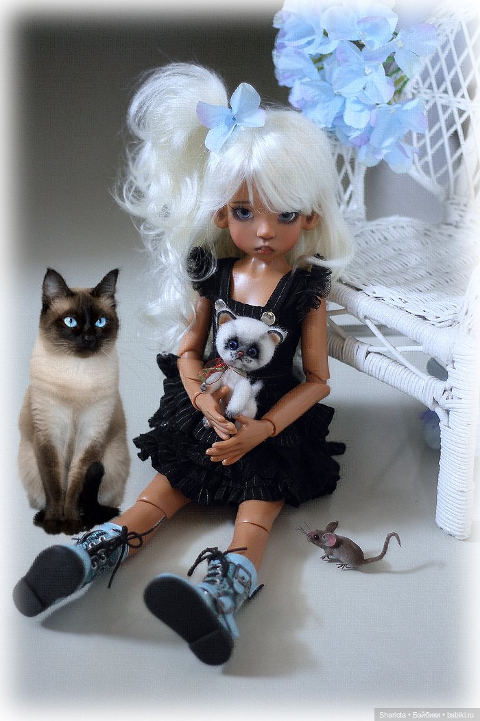 Мое семейство Кошачьих…или Лайла с котёнком