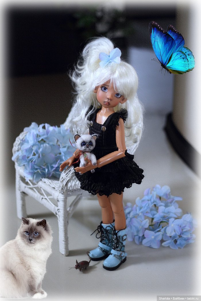 Мое семейство Кошачьих…или Лайла с котёнком