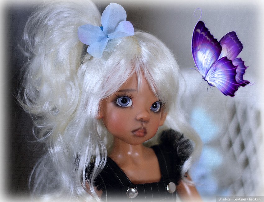 Мое семейство Кошачьих…или Лайла с котёнком (фото 8)