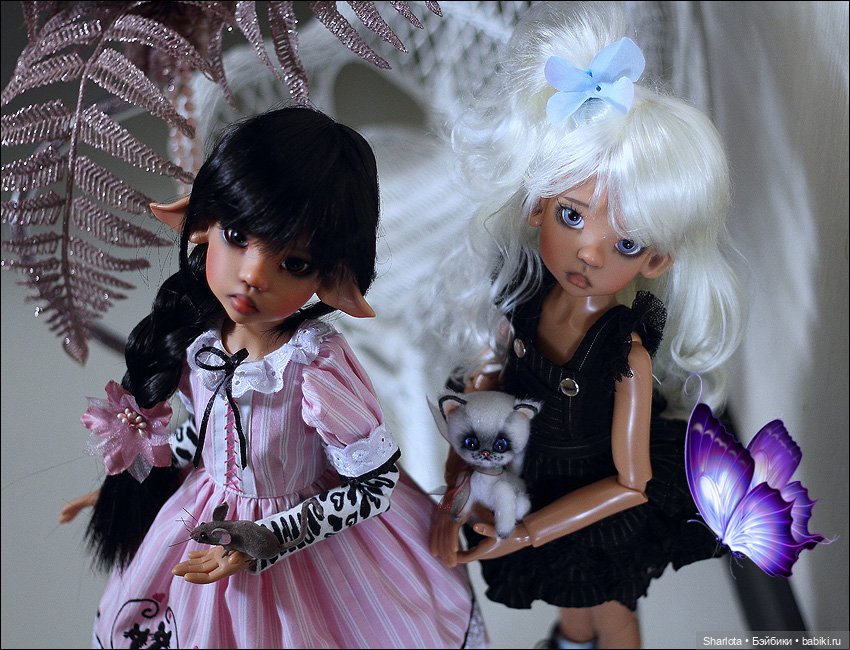 Мое семейство Кошачьих…или Лайла с котёнком