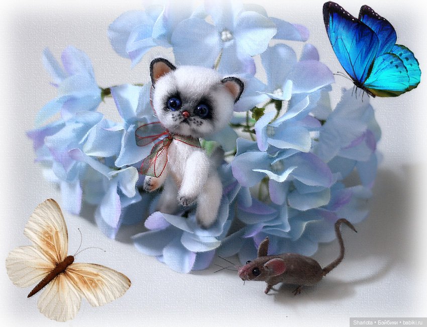 Мое семейство Кошачьих…или Лайла с котёнком