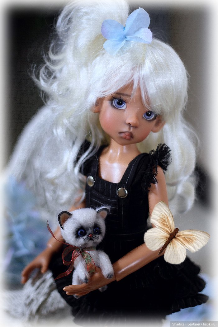 Мое семейство Кошачьих…или Лайла с котёнком (фото 9)