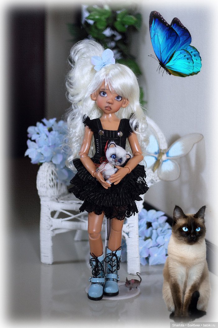 Мое семейство Кошачьих…или Лайла с котёнком