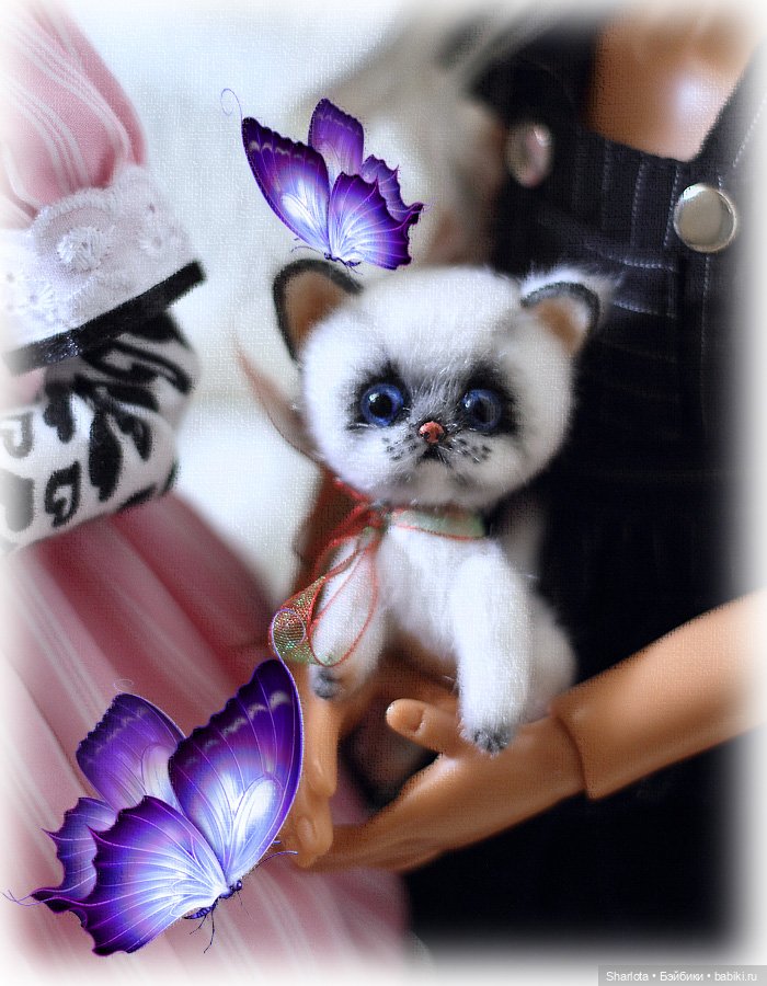 Мое семейство Кошачьих…или Лайла с котёнком