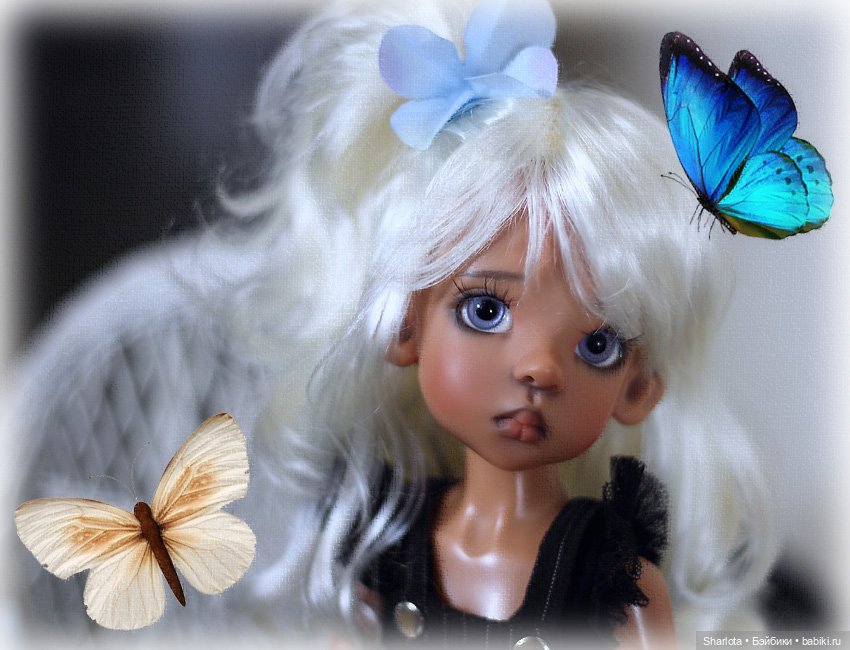 Мое семейство Кошачьих…или Лайла с котёнком