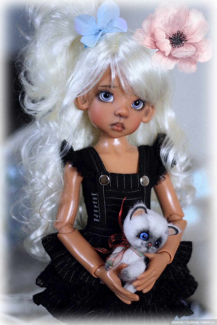 Мое семейство Кошачьих…или Лайла с котёнком