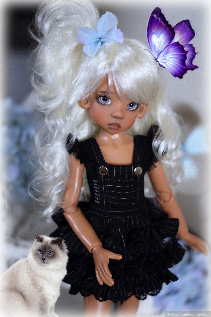 Мое семейство Кошачьих…или Лайла с котёнком