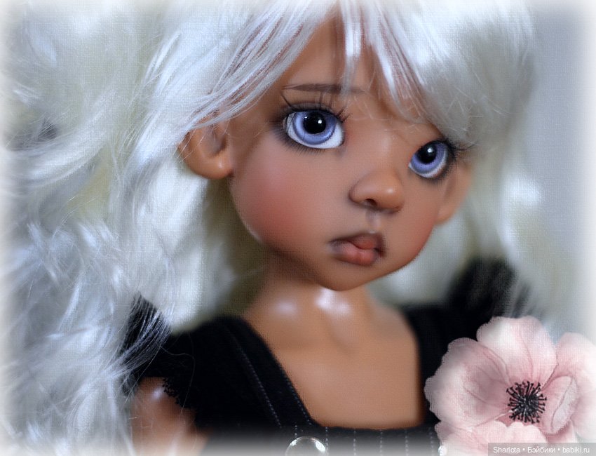 Мое семейство Кошачьих…или Лайла с котёнком