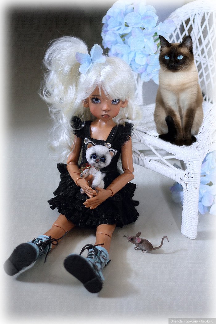 Мое семейство Кошачьих…или Лайла с котёнком (фото 6)