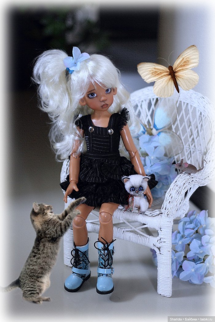 Мое семейство Кошачьих…или Лайла с котёнком