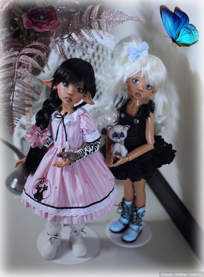 Мое семейство Кошачьих…или Лайла с котёнком