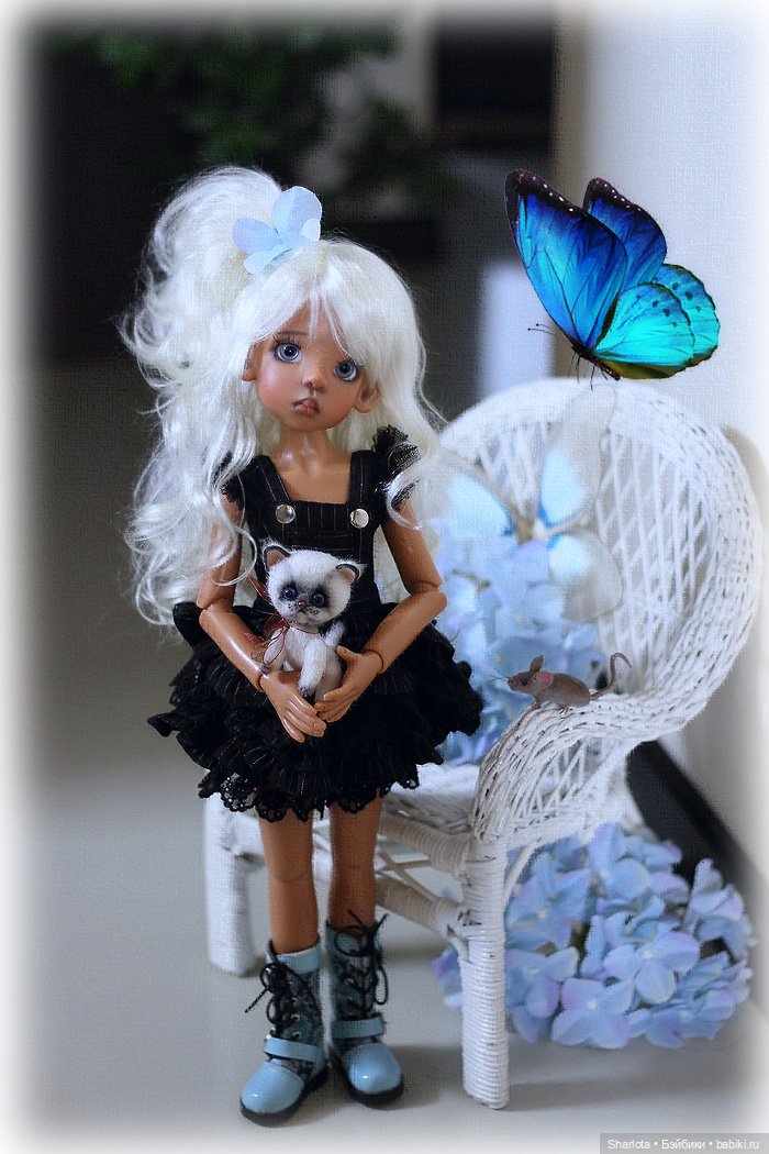 Мое семейство Кошачьих…или Лайла с котёнком