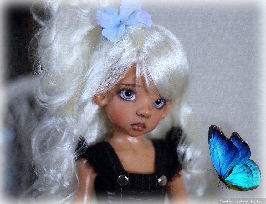 Мое семейство Кошачьих…или Лайла с котёнком