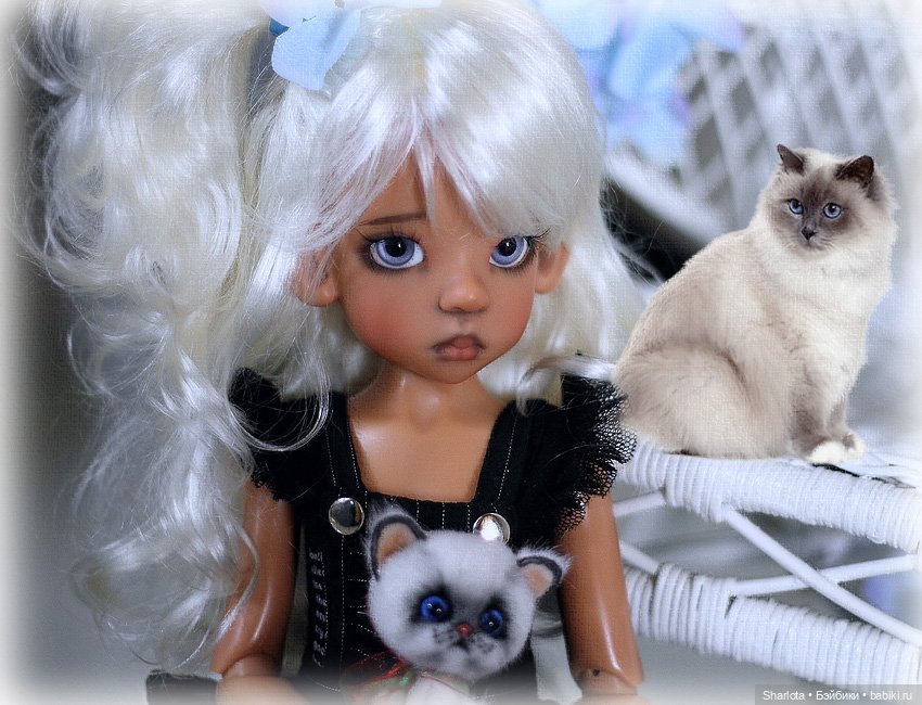 Мое семейство Кошачьих…или Лайла с котёнком