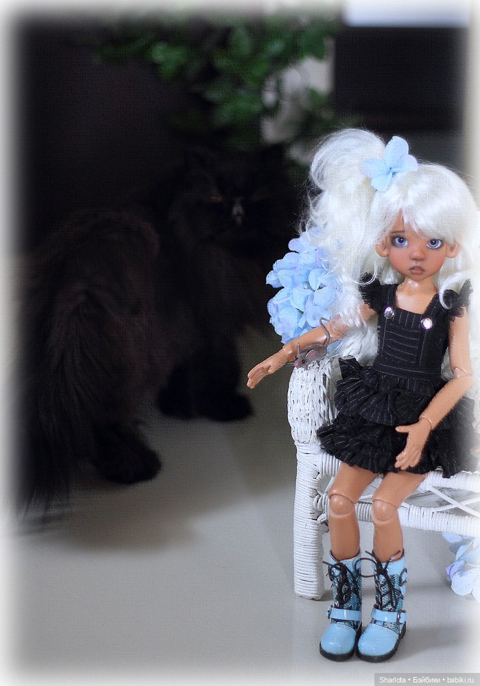 Мое семейство Кошачьих…или Лайла с котёнком