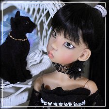 Моё семейство Кошачьих. Мы с тобой одной крови, ТЫ и Я… или Микки и её пантера