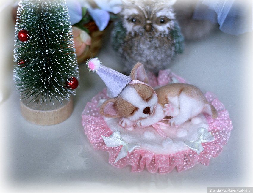 Cмех сквозь слёзы… или неожиданный подарок ко Дню Рождения | Бэйбики Cмех сквозь слёзы… или неожиданный подарок ко Дню Рождения