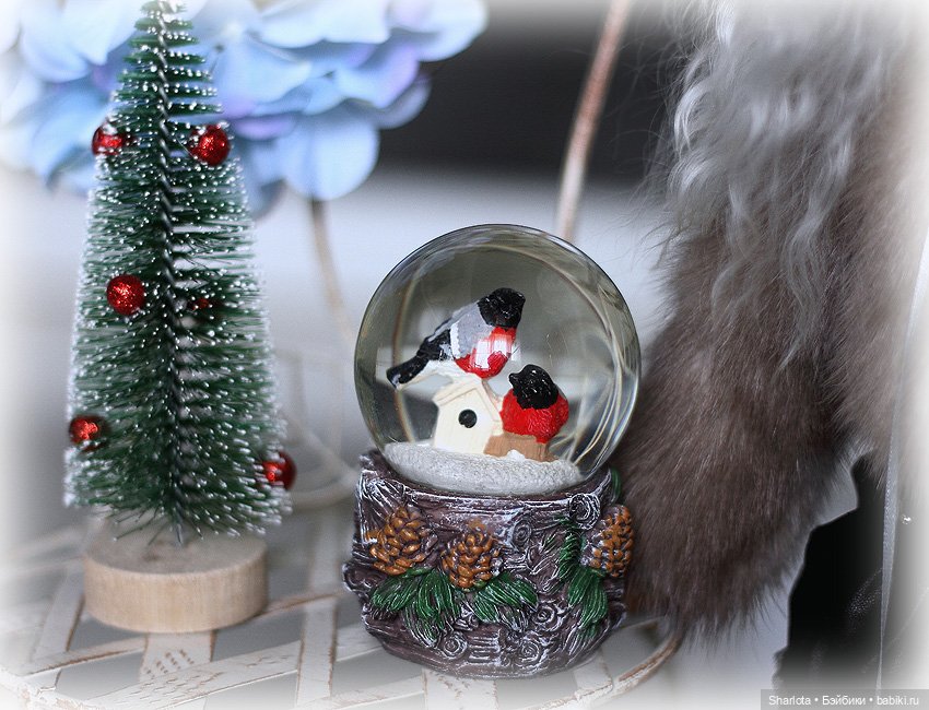 Cмех сквозь слёзы… или неожиданный подарок ко Дню Рождения | Бэйбики Cмех сквозь слёзы… или неожиданный подарок ко Дню Рождения