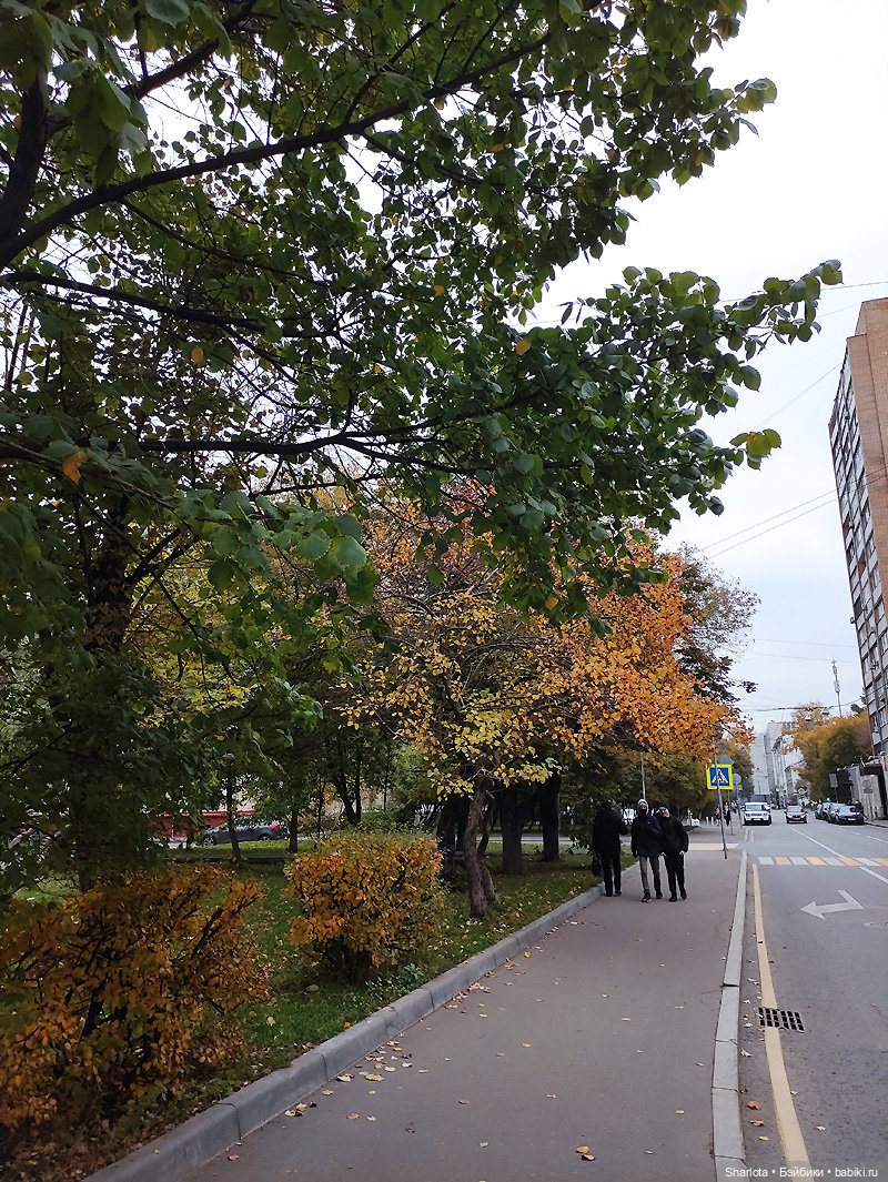 Выставка на Тишинке - часть 5. Подводим итоги + голосование