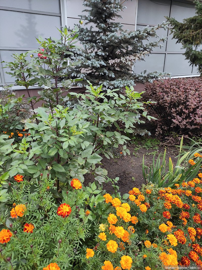 Выставка на Тишинке - часть 5. Подводим итоги + голосование