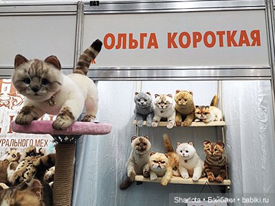 Выставка на Тишинке. Часть 4 | Бэйбики Выставка на Тишинке. Часть 4