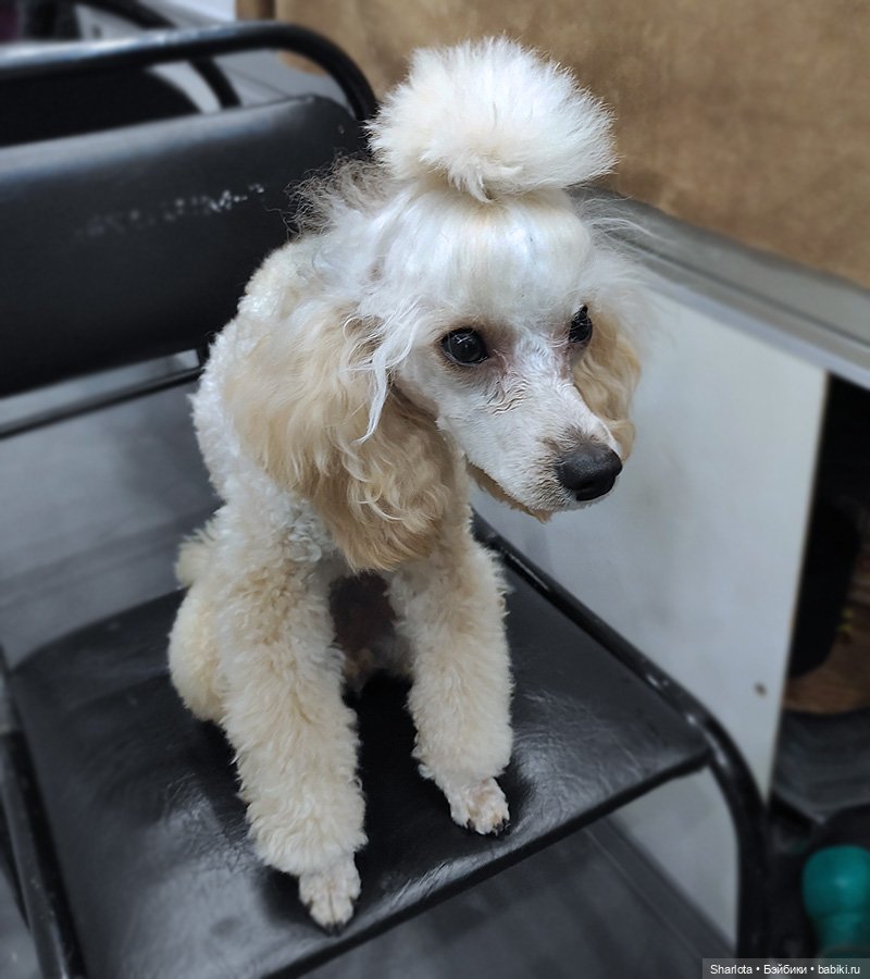 Выставка на Тишинке - часть 5. Подводим итоги + голосование