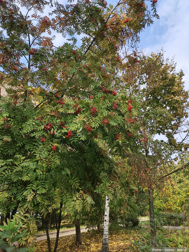 Выставка на Тишинке моими глазами. Что особенно тронуло и запомнилось…