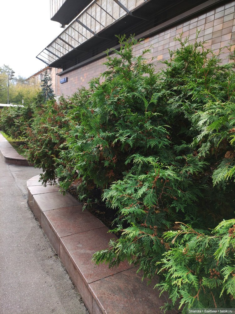 Выставка на Тишинке моими глазами. Что особенно тронуло и запомнилось…