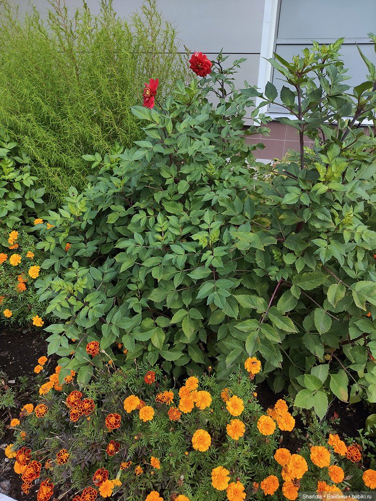 Выставка на Тишинке моими глазами. Что особенно тронуло и запомнилось…